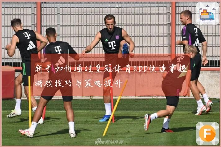 新手如何通过皇冠体育app快速掌握游戏技巧与策略提升