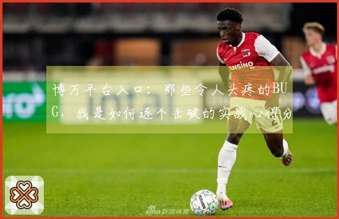博万平台入口：那些令人头疼的BUG，我是如何逐个击破的实战心得分享