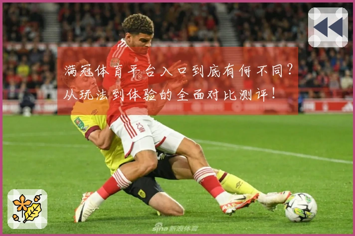 满冠体育平台入口到底有何不同？从玩法到体验的全面对比测评！